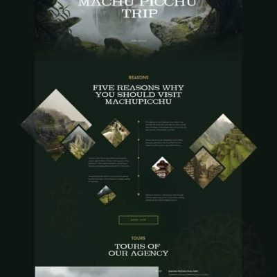 web design agency , website design company