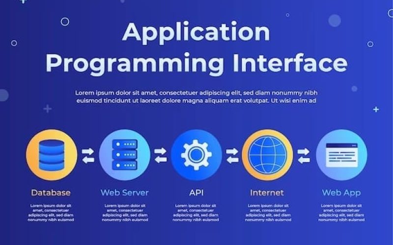 Laravel web apps in morocco