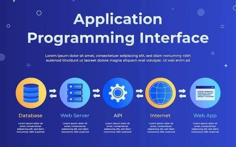 Laravel web apps in morocco